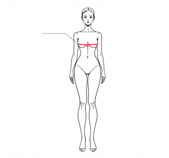 chest circumference