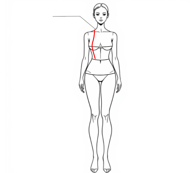 Back Waist Length (BWL)